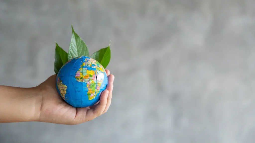 The Environmental Impact of Cargo Shipping in UAE