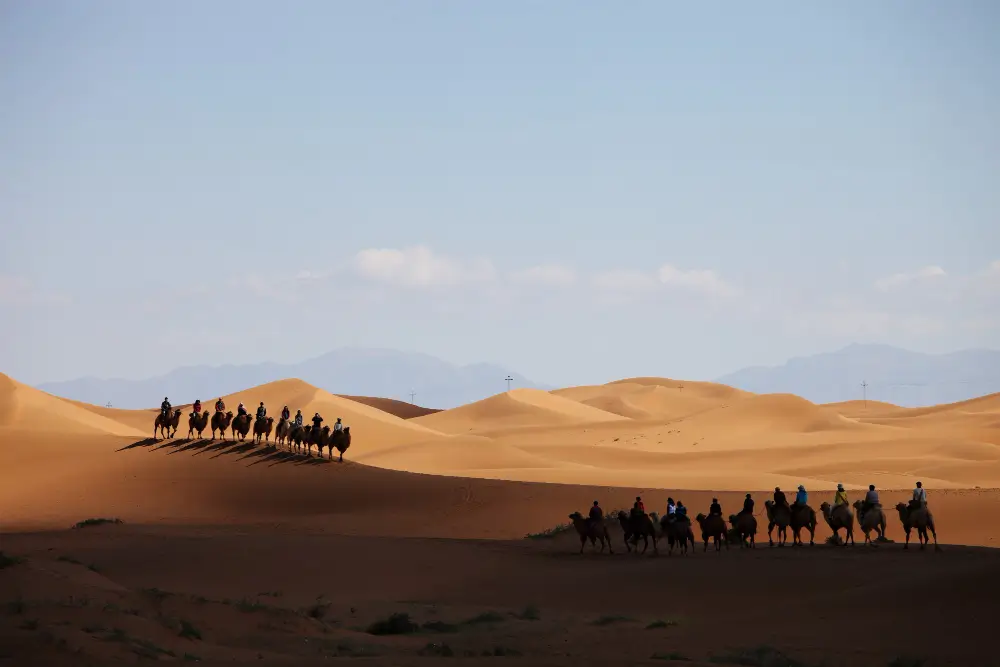 Discovering Al Ain The Oasis of the UAE